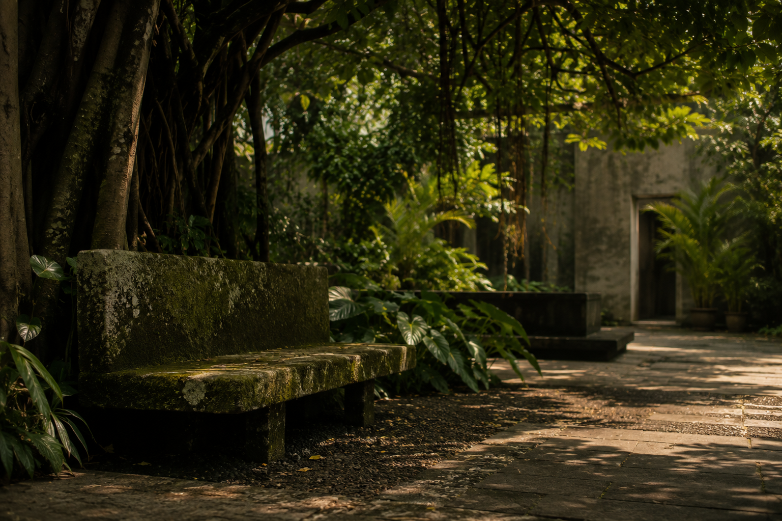 Mature garden courtyard