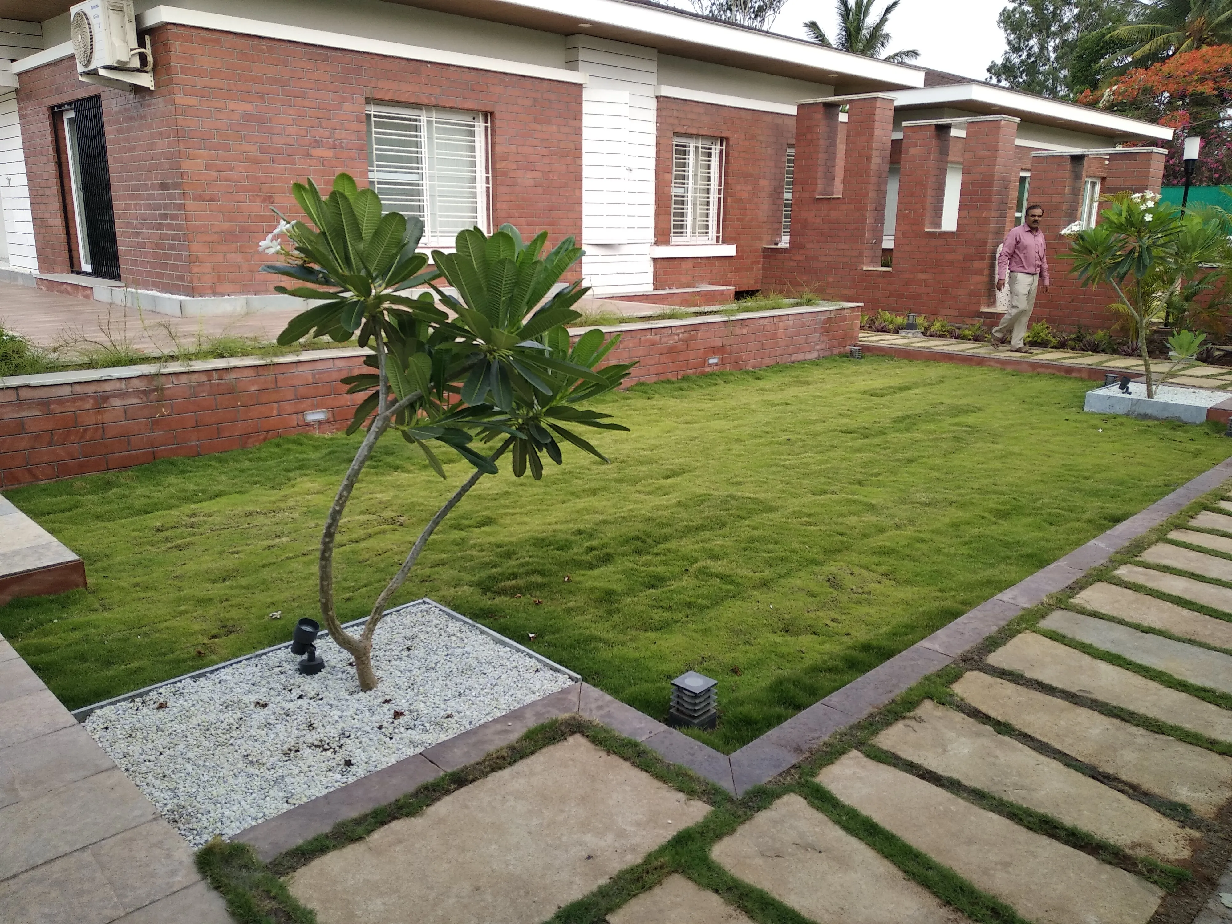 Natural-edge swimming pool with stone deck and planted filtration bed