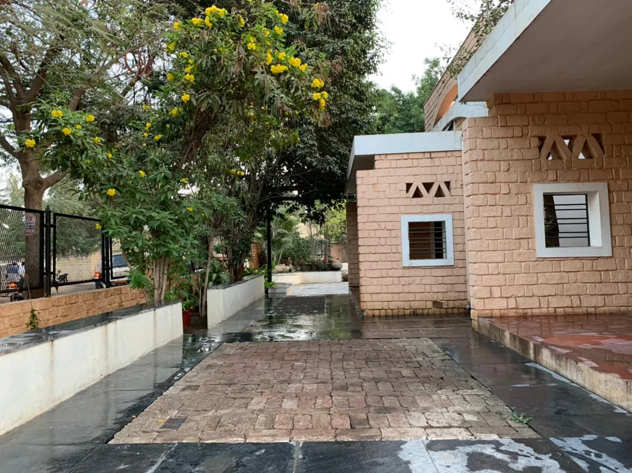 Dining terrace beneath the retained banyan canopy